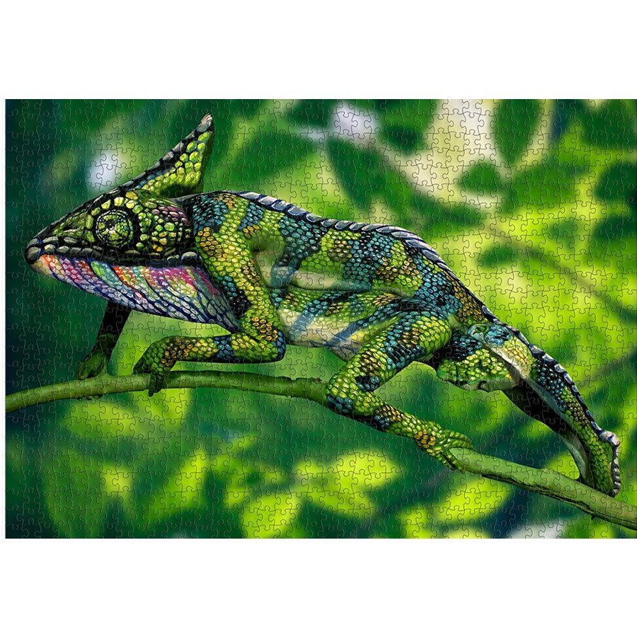 Johannes Stotter Chameleon Body Art Puzzle